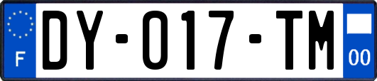 DY-017-TM