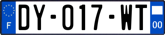 DY-017-WT