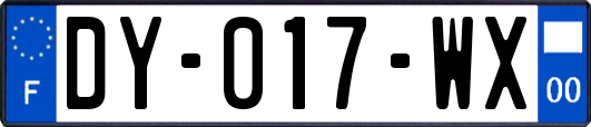 DY-017-WX