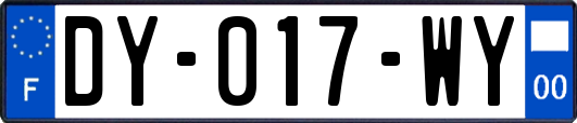 DY-017-WY