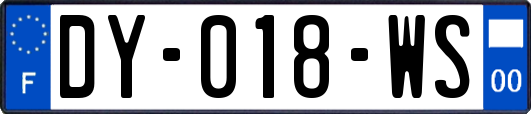 DY-018-WS