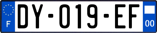 DY-019-EF