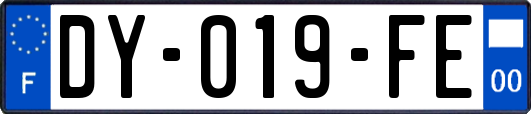 DY-019-FE