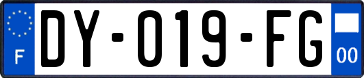 DY-019-FG
