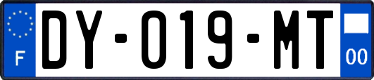 DY-019-MT