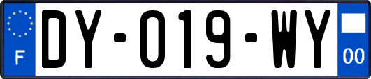 DY-019-WY