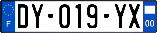 DY-019-YX