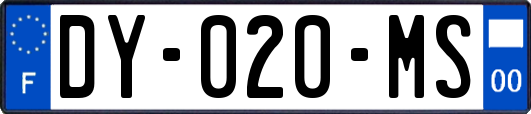 DY-020-MS