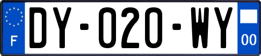 DY-020-WY