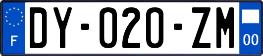 DY-020-ZM