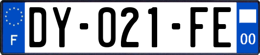 DY-021-FE