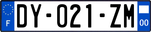 DY-021-ZM