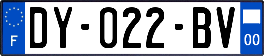 DY-022-BV