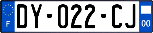 DY-022-CJ