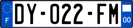 DY-022-FM