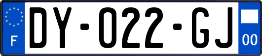 DY-022-GJ