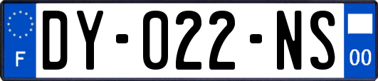 DY-022-NS