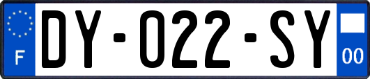 DY-022-SY