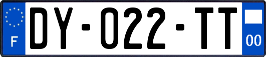 DY-022-TT