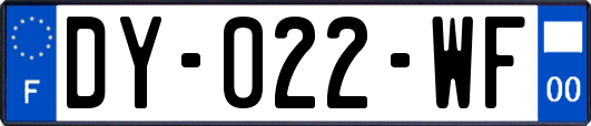 DY-022-WF