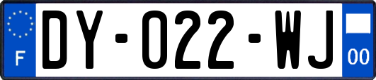 DY-022-WJ