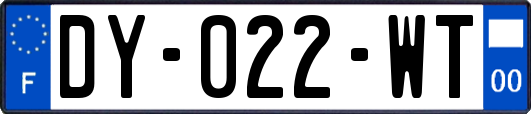 DY-022-WT