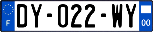 DY-022-WY