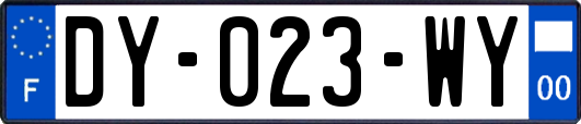 DY-023-WY