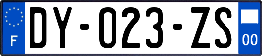DY-023-ZS