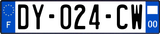 DY-024-CW