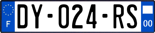 DY-024-RS