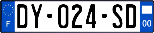 DY-024-SD