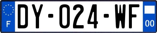 DY-024-WF