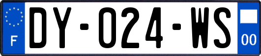 DY-024-WS