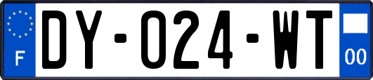 DY-024-WT