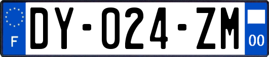 DY-024-ZM