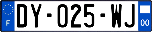 DY-025-WJ