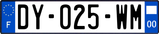 DY-025-WM