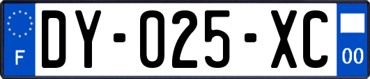 DY-025-XC