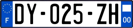 DY-025-ZH