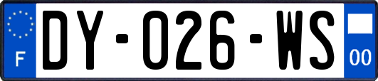 DY-026-WS