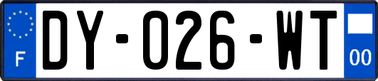 DY-026-WT