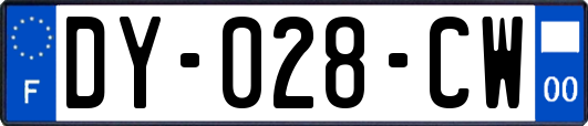 DY-028-CW