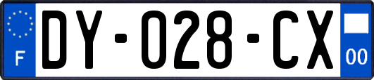 DY-028-CX