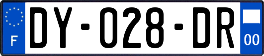 DY-028-DR