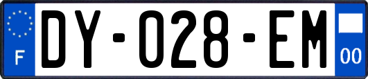 DY-028-EM