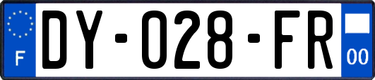 DY-028-FR