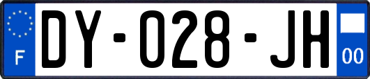 DY-028-JH