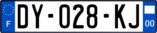 DY-028-KJ