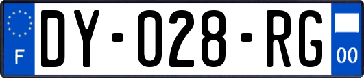 DY-028-RG